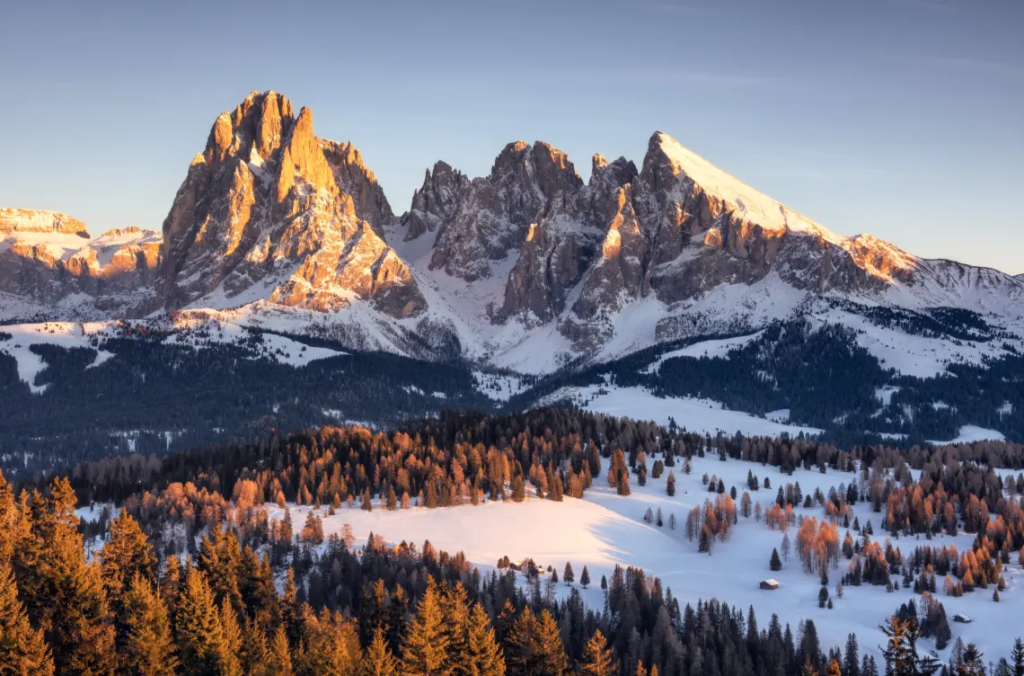 Dolomite peaks at sunset above a snowy forest