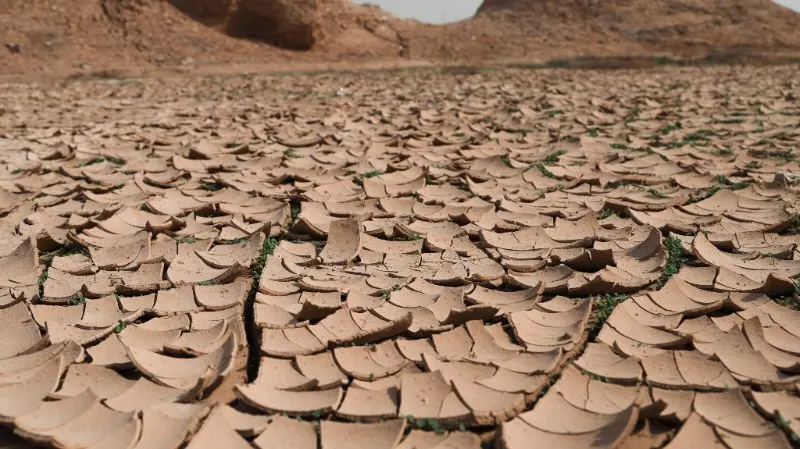 Dry, cracked ground