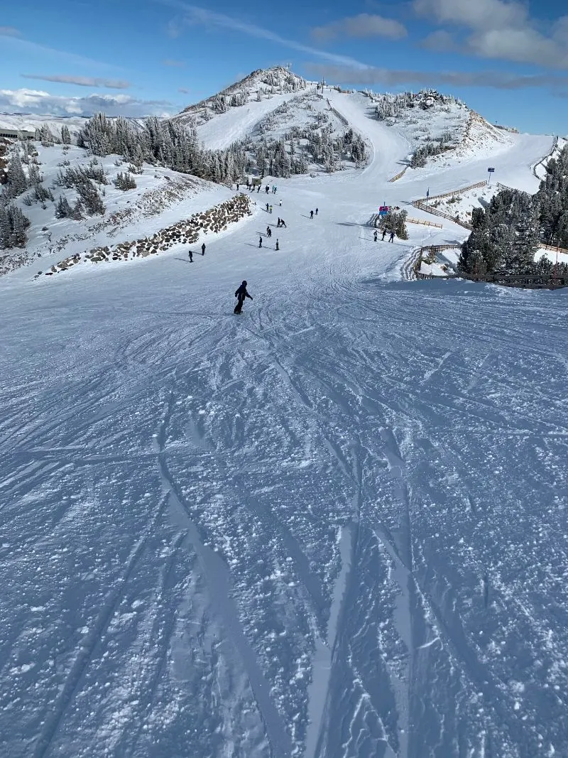 Ski slope with skiers