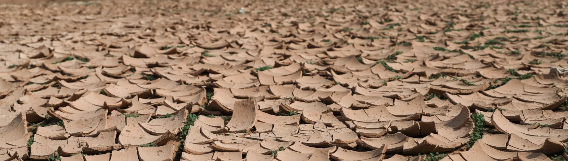 Dry ground cracked by drought