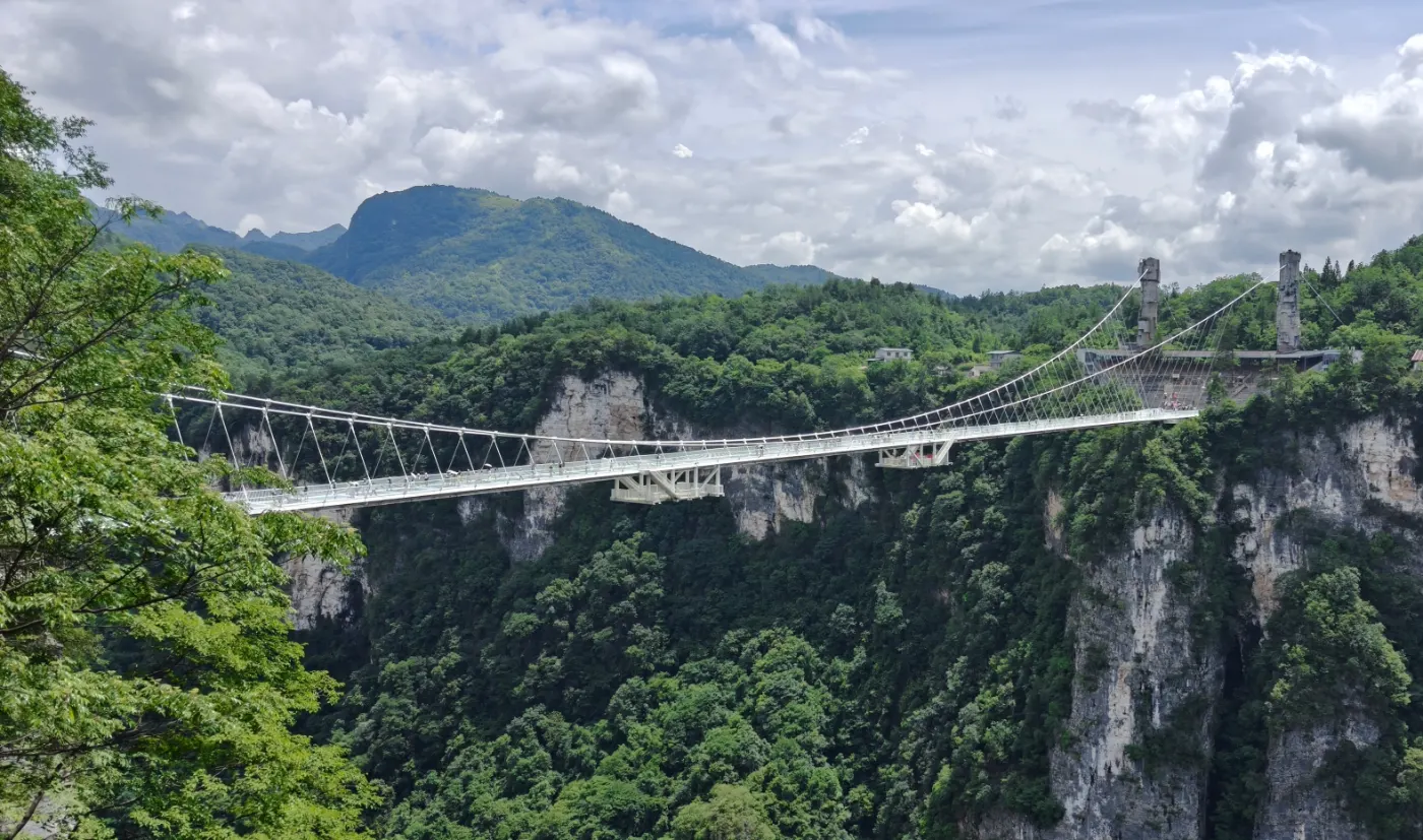Passerella sospesa sopra una gola boscosa