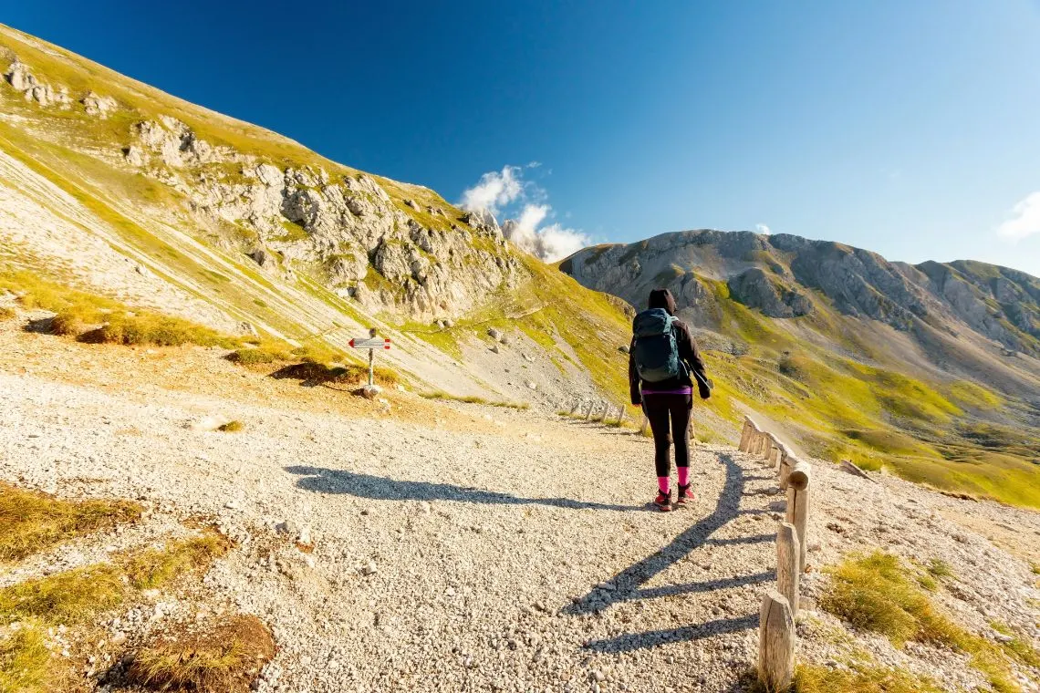 Hiker on a mountain path